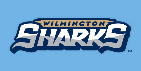 Wilmington Sharks 2014-Pres Wordmark Logo iron on heat transfer